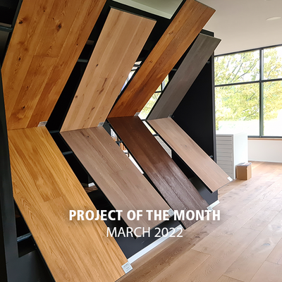 Project of the month - March 2022